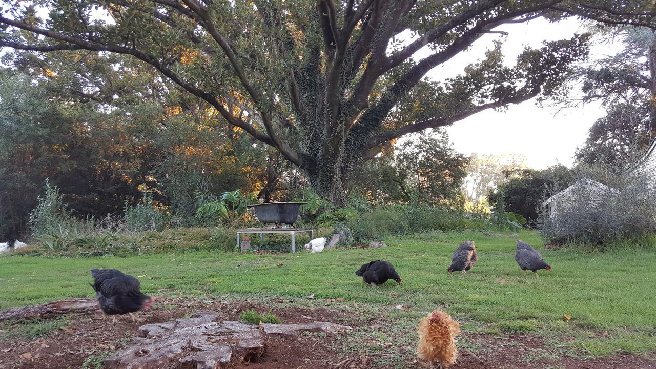 Blair Athol Homestead Inverell Luaran gambar